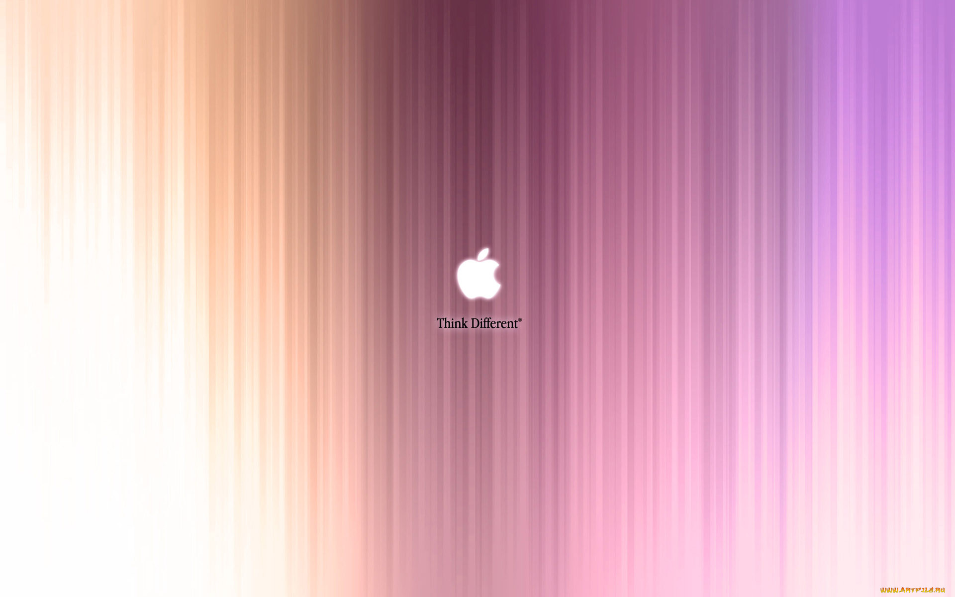 , apple, , 